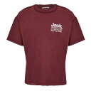 【送料無料】 ジャック ウィルス メンズ Tシャツ トップス Bold Graphic T-shirt Moltn Chocolate