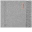 【送料無料】 アクネ ストゥディオズ メンズ マフラー・ストール・スカーフ アクセサリー Acne Studios Canada New Scarf Light Grey Melange