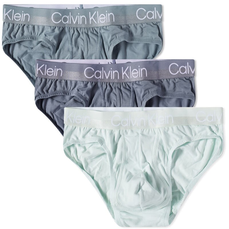 カルバン・クライン 【送料無料】 カルバンクライン メンズ ブリーフパンツ アンダーウェア Calvin Klein Hip Brief - 3 Pack Blue Grey & Dragon Fly