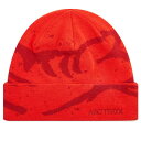 【送料無料】 アークテリクス メンズ 帽子 アクセサリー Arcteryx Grotto Toque Dynasty & Dark Dynasty