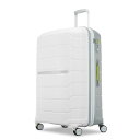 【送料無料】 サムソナイト メンズ スーツケース バッグ Samsonite Freeform 28