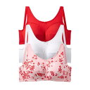 【送料無料】 コンフォート チョイス レディース ブラジャー アンダーウェア Comfort Choice Women's Plus Size 3-pack C...