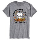 【送料無料】 ライセンス キャラクター メンズ Tシャツ トップス Big & Tall Peanuts Happiness Is Leaves Gray