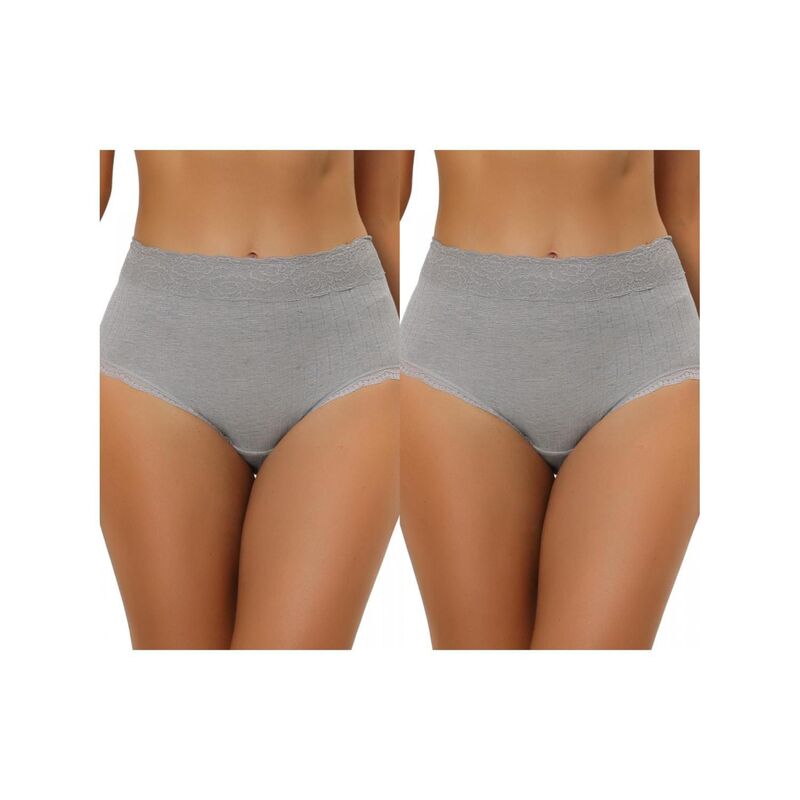 ̵ 쥰  ǥ ѥ  2 Packs Women's High Waist Underwear ...