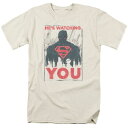 【送料無料】 ライセンス キャラクター メンズ Tシャツ トップス Superman He's Watching You Short Sleeve Adult T-shirt Cream