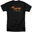 【送料無料】 ライセンス キャラクター メンズ Tシャツ トップス Hobbit Smaug On Fire Short Sleeve Adult Tall T-shirt Black(4)