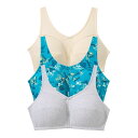 【送料無料】 コンフォート チョイス レディース ブラジャー アンダーウェア Comfort Choice Women's Plus Size 3-Pack C...