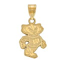 【送料無料】 ロゴアート レディース ブレスレット・バングル・アンクレット アクセサリー LogoArt 14k Gold Wisconsin Badgers Bucky Badger Pendant 14k Yellow Gold