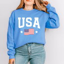 【送料無料】 Simply Sage Market レディース Tシャツ トップス Simply Sage Market USA Arched Flag Sweatshirt Carolina