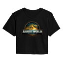 【送料無料】 ライセンス キャラクター レディース Tシャツ トップス Juniors' Jurassic World Rebirth Logo Cropped...