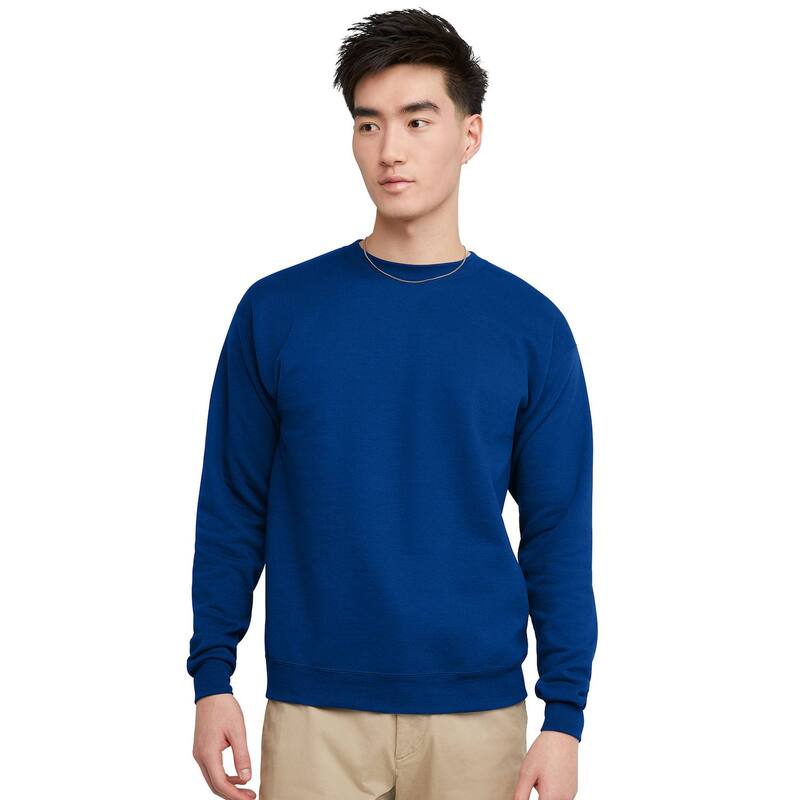 ヘインズ メンズ トップス Tシャツ スウェット フリース Men's Hanes EcoSmart Fleece Sweatshirt Deep Royal
