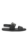 【送料無料】 ドンカルズ メンズ サンダル シューズ Sandals Black