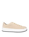 【送料無料】 トッズ メンズ スニーカー シューズ Sneakers Beige