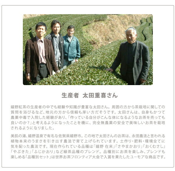 紅葉くれは嬉野紅茶うれしの和紅茶※返品・交換不可