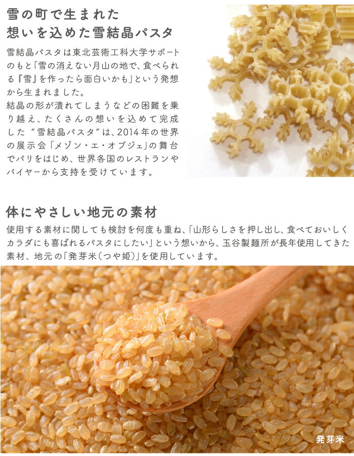 aGarey アガレイ 雪結晶パスタ 100g ※返品・交換不可