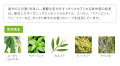 HYPERPLANTS(ハイパープランツ)/ナチュラルハーブスプレーレスピレーション【アロマペパーミントユーカリティートリー花粉爽やか】