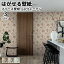 ɻ ͢ɻ BORASTAPETER Eastern Simplicity 53cmx10m 3 Ϥɻ ŽäƤϤɻ ե꡼ɻ  ĥؤ diy ̲  ƥꥢ ǥ ܥ饹ڡ ܥ˥ ʪ  å  ֥롼