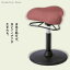 ġ ץݡ󥹥ġ ϥ   ػ CH-800H proportion stool chair