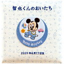 フエルアルバム｢ディズニーベビー｣(刺繍名入れ) 1