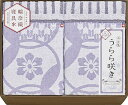 今治 タオルケット2P(ギフト 引き出物 引出物 出産内祝い 内祝い 結婚祝い 快気祝い 快気内祝い 新築祝い お返し ご挨拶 新築内祝い 香典返し