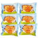 乳蔵 北海道シュークリーム6個 440180 ●北街道・沖縄・離島はお届け出来ません。