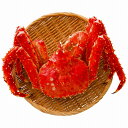 網走水産 ボイルたらばがに姿 AP-008