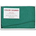 COLOR SOUNDS フェイスタオル グリーン