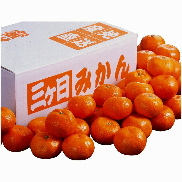 静岡県産 三ケ日みかん●北街道・沖縄・離島はお届け出来ません。●産直