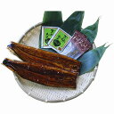 浜松・浜名湖産うなぎ蒲焼(長焼き2尾)