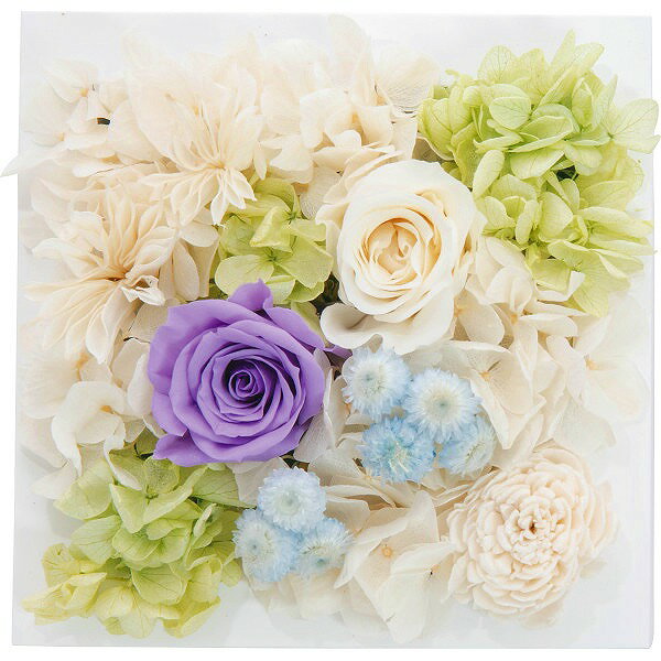 プリザーブドウォールフラワー（スクエア）