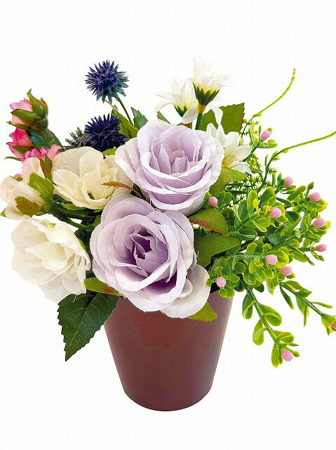 �����ѡ�SALE30%OFF��SC���޲ù����������ƥ��ե������ե����� �¤ߡ����ѡ��ץ�