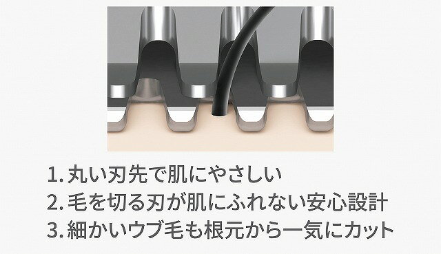 10%ポイントUP／パナソニック／フェイスフェリエ●カラー／ベージュ