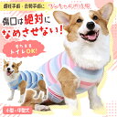 犬服 ドッグウェア エリザベスカラー【犬猫用L・XLサイズ3カラーエリザベスカラー】手術、怪我、術後、手術後傷舐め防止/傷口保護/エリザベスカラー/プロテクター 手術後/噛み/傷口保護/皮膚/アレルギー