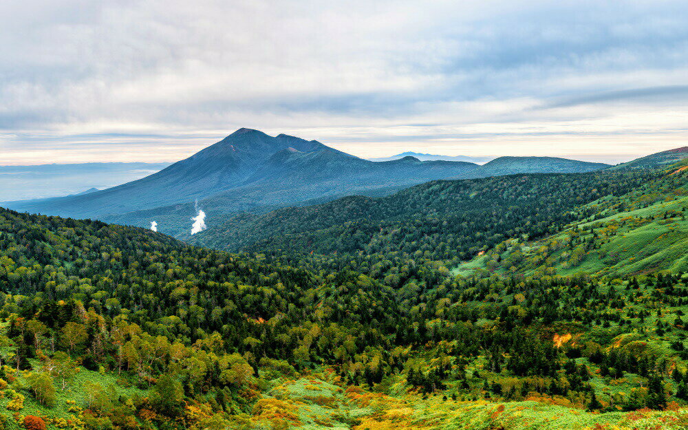 絵画風 壁紙ポスター (はがせるシール式) 初秋の八幡平から望む岩手山 奥羽山脈 日本百名山 絶景スポット キャラクロ M-OHU-001W2(ワイド版 603mm×376mm)＜日本製＞ ウォールステッカー お風呂ポスター