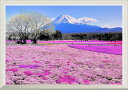 絵画風 壁紙ポスター (はがせるシール式) -窓の景色- 富士芝桜 富士山 本栖湖 富士芝桜まつり さくら【扉なし窓仕様】 キャラクロ FJS-041NA2 (A2版 594mm×420mm) ＜日本製＞ ウォールステッカー お風呂ポスター