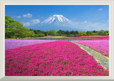 絵画風 壁紙ポスター (はがせるシール式) -窓の景色- 富士芝桜 富士山 本栖湖 富士芝桜まつり さくら【扉なし窓仕様】 キャラクロ FJS-057NA1 (A1版 830mm×585mm) 建築用壁紙+耐候性塗料 インテリア
