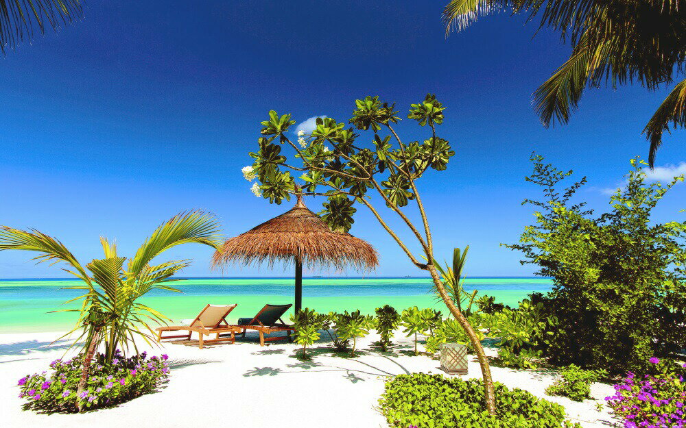 絵画風 壁紙ポスター (はがせるシール式) モルディブ パラダイス・ビーチ 海 癒し バケーション AT キャラクロ RMDV-007W1 (ワイド版 921mm×576mm) ＜日本製＞ ウォールステッカー お風呂ポスター