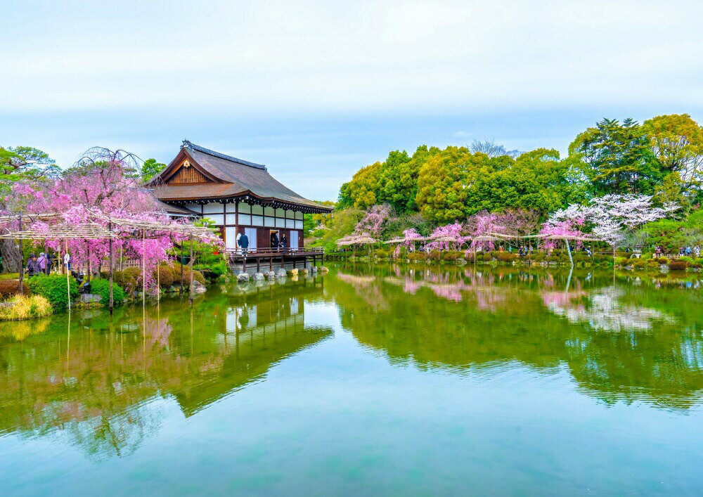 絵画風 壁紙ポスター (はがせるシール式) 平安神宮 尚美館 貴賓館 桜 平安京 キャラクロ KHAJ-002A1 (A1版 830mm×585mm) ＜日本製＞ ウォールステッカー お風呂ポスター