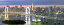 絵画風 壁紙ポスター （はがせるシール式） レインボーブリッジ 夕暮れ 夜景 東京タワー 東京港連絡橋 AT キャラクロ RBB-104P1 （パノラマ版 1440mm×576mm） 建築用壁紙＋耐候性塗料 インテリア