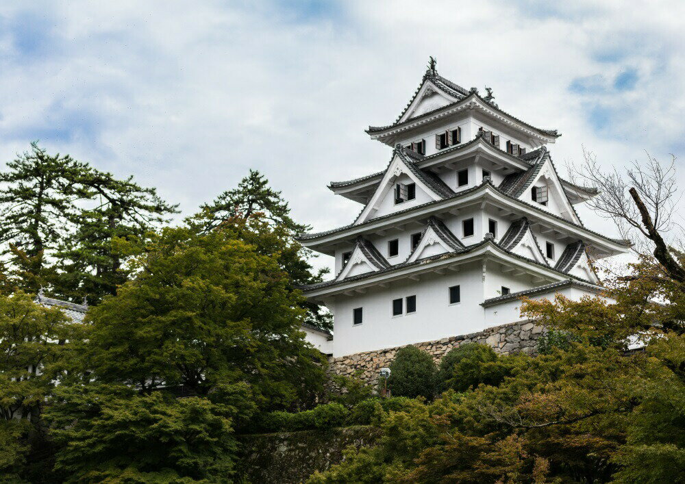 絵画風 壁紙ポスター (はがせるシール式) 郡上八幡城 天空の城 岐阜 キャラクロ GHJ-001A2 (A2版 594mm×420mm) ＜日本製＞ ウォールステッカー お風呂ポスター