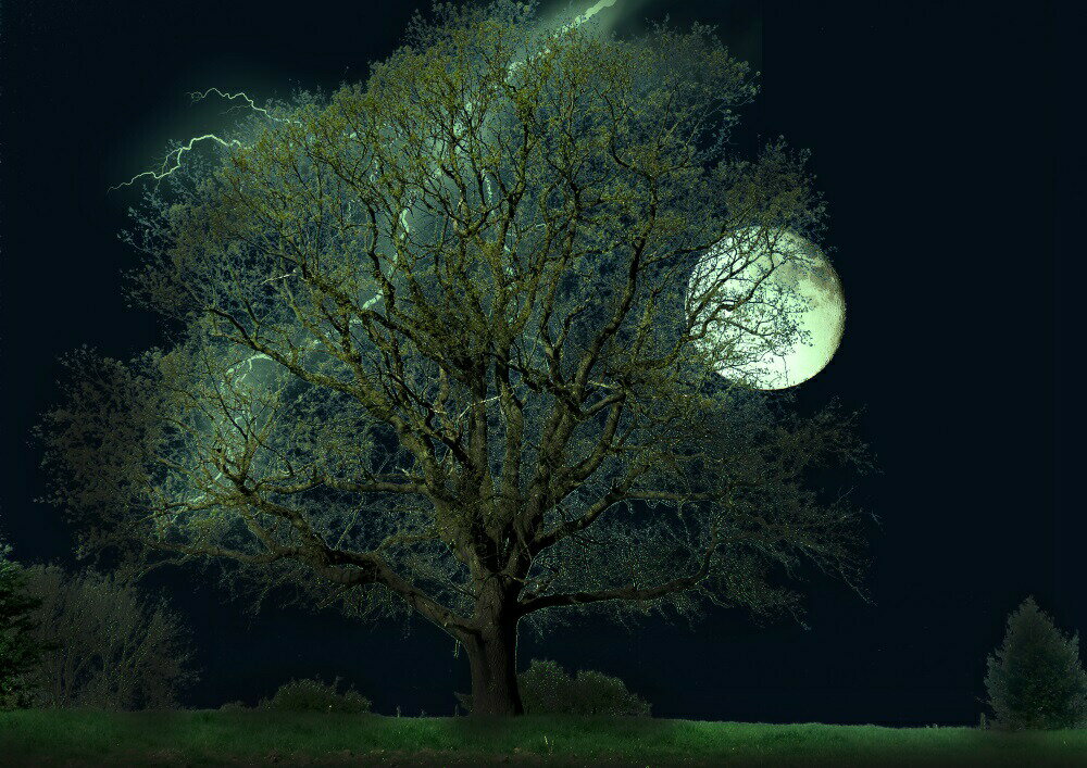 絵画風 壁紙ポスター (はがせるシール式) 大木 月 スーパームーン 雷 イナズマ 天体 神秘 癒し パワー キャラクロ MON-005A2 (A2版 594mm×420mm) ＜日本製＞ ウォールステッカー お風呂ポスター