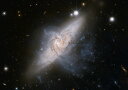 G敗 ǎ|X^[ (͂V[)  Milky Way MNV[ F V _ LN SPC-014A1 (A1 830mm~585mm) { EH[XebJ[ C|X^[