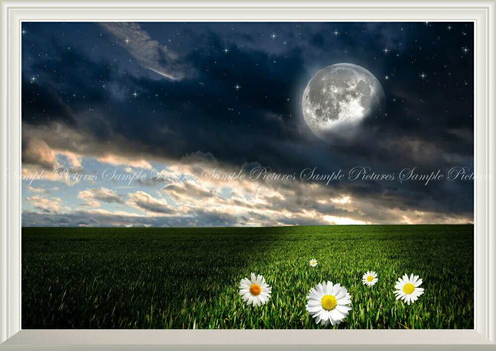 絵画風 壁紙ポスター (はがせるシール式) -窓の景色- 草原のカモミールと幻想的な星空のスーパームーン 月 満月 ムーンライト 神秘 癒し 【扉なし窓仕様】 キャラクロ MON-018NA2 (A2版 594mm×420mm) ＜日本製＞ ウォールステッカー お風呂ポスター
