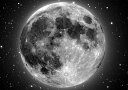 G敗 ǎ|X^[ (͂V[)  Moon [ n̉q A [i X[p[[ zn V F LN MON-035A2 (A2 594mm~420mm) { EH[XebJ[ C|X^[