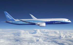  ɻݥ (Ϥ륷뼰) ܡ 787 ɥ꡼饤ʡ 淿åιҵ 2011ǯ 饯 B787-002W2 (磻 603mm376mm)  륹ƥå Ϥݥ