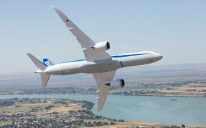  ɻݥ (Ϥ륷뼰) ANA ܡ 787-9 ɥ꡼饤ʡ    饯 B787-028W2 (磻 603mm376mm)  륹ƥå Ϥݥ