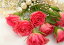 絵画風 壁紙ポスター （はがせるシール式） バラとネックレス 真珠 ピンクパンサー 薔薇 花 キャラクロ FROS-006A1 （A1版 830mm×585mm） ＜日本製＞ ウォールステッカー お風呂ポスター