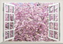 絵画風 壁紙ポスター (はがせるシール式) -窓の景色- 満開のさくら 桜の景色 八重桜 サクラ 開花 お花見 【窓仕様/トリックアート】 キャラクロ FSKR-013MA2 (A2版 594mm×420mm) <日本製> ウォールステッカー お風呂ポスター