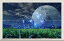 絵画風 壁紙ポスター (はがせるシール式) -窓の景色- 蛍の光と都会の幻想的な夜景 蛍光 幻 惑星 月 神秘 癒し 【扉なし窓仕様】 キャラクロ SFFL-001NW2 (ワイド版 603mm×391mm) <日本製> ウォールステッカー お風呂ポスター 3,200円