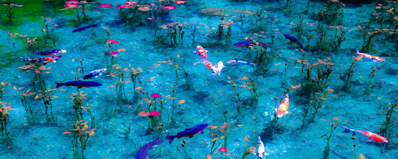 絵画風 壁紙ポスター (はがせるシール式) -地球の撮り方- まるで絵画、岐阜県関市の「モネの池」(名前のない池)パノラマ キャラクロ C-ZJP-001P1 (パノラマ版 1440mm×576mm) ＜日本製＞ ウォールステッカー お風呂ポスター